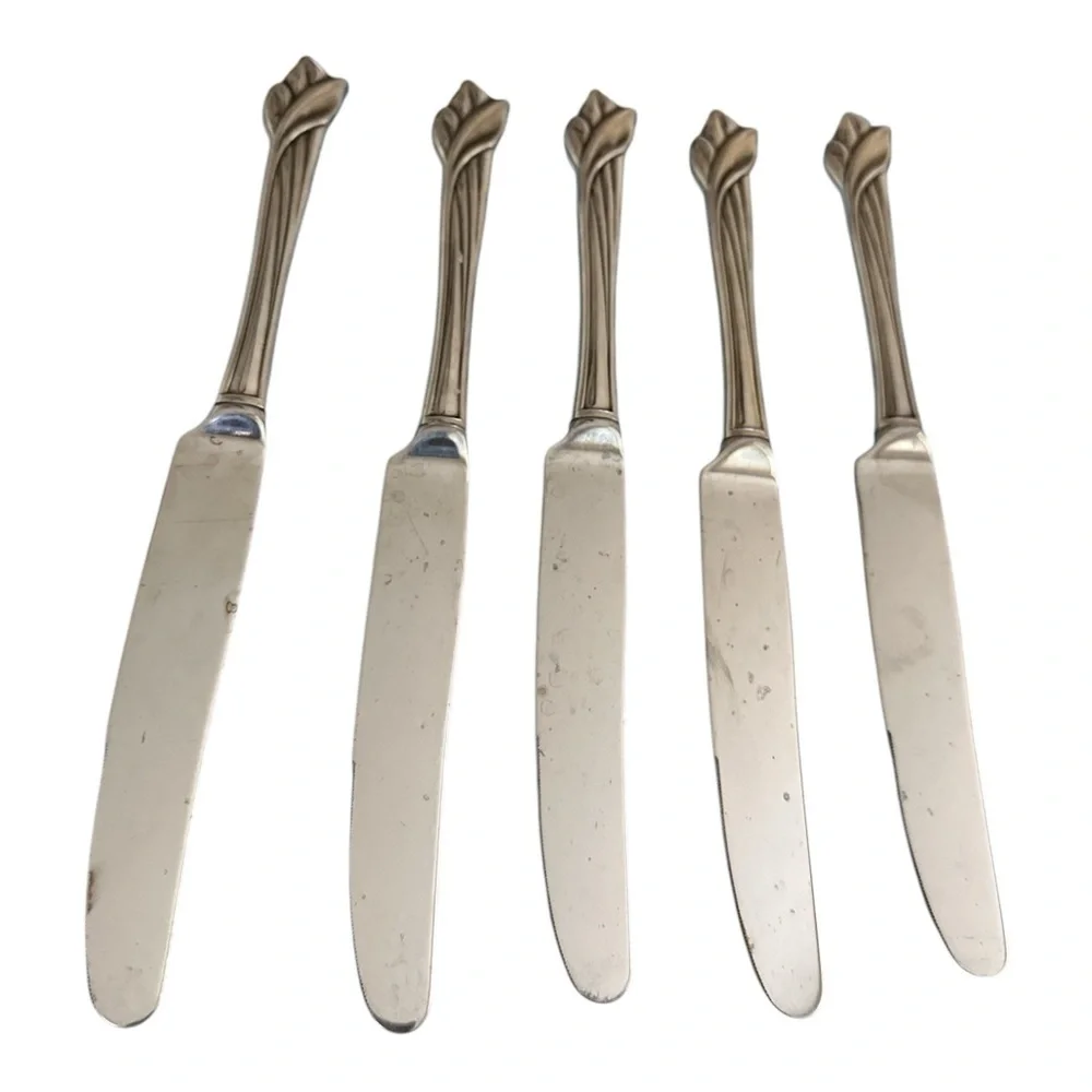 Oneida stainless steel